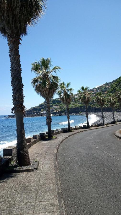 Lazy Lizard By The Ocean Apartment Seixal  Exterior photo