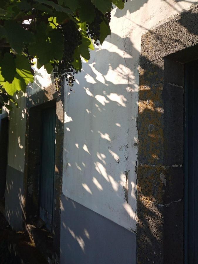 Lazy Lizard By The Ocean Apartment Seixal  Exterior photo